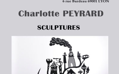 Exposition à la Galerie LA MAIN LIBRE – 31 janvier au 29 février 2020